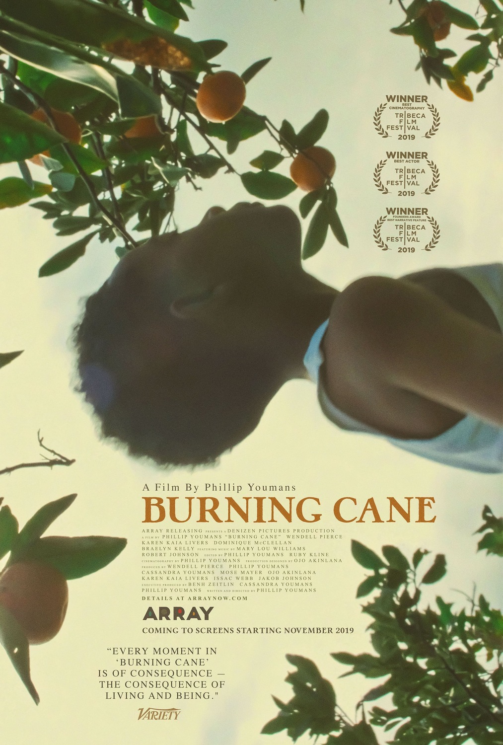 BURNING CANE